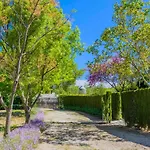 Casa El Vegetal By Ruralidays アリアテ